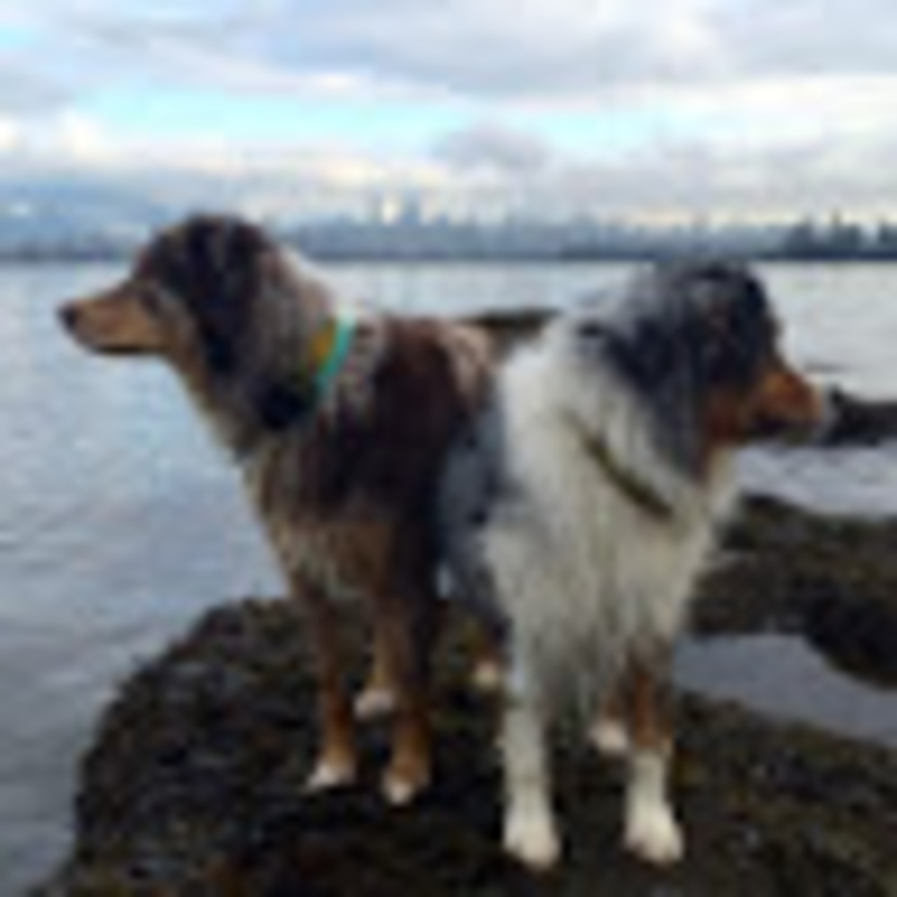 Meet your Posher, Priscilla